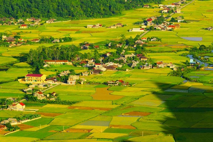 Bac Son Town in harvest time - ảnh 1